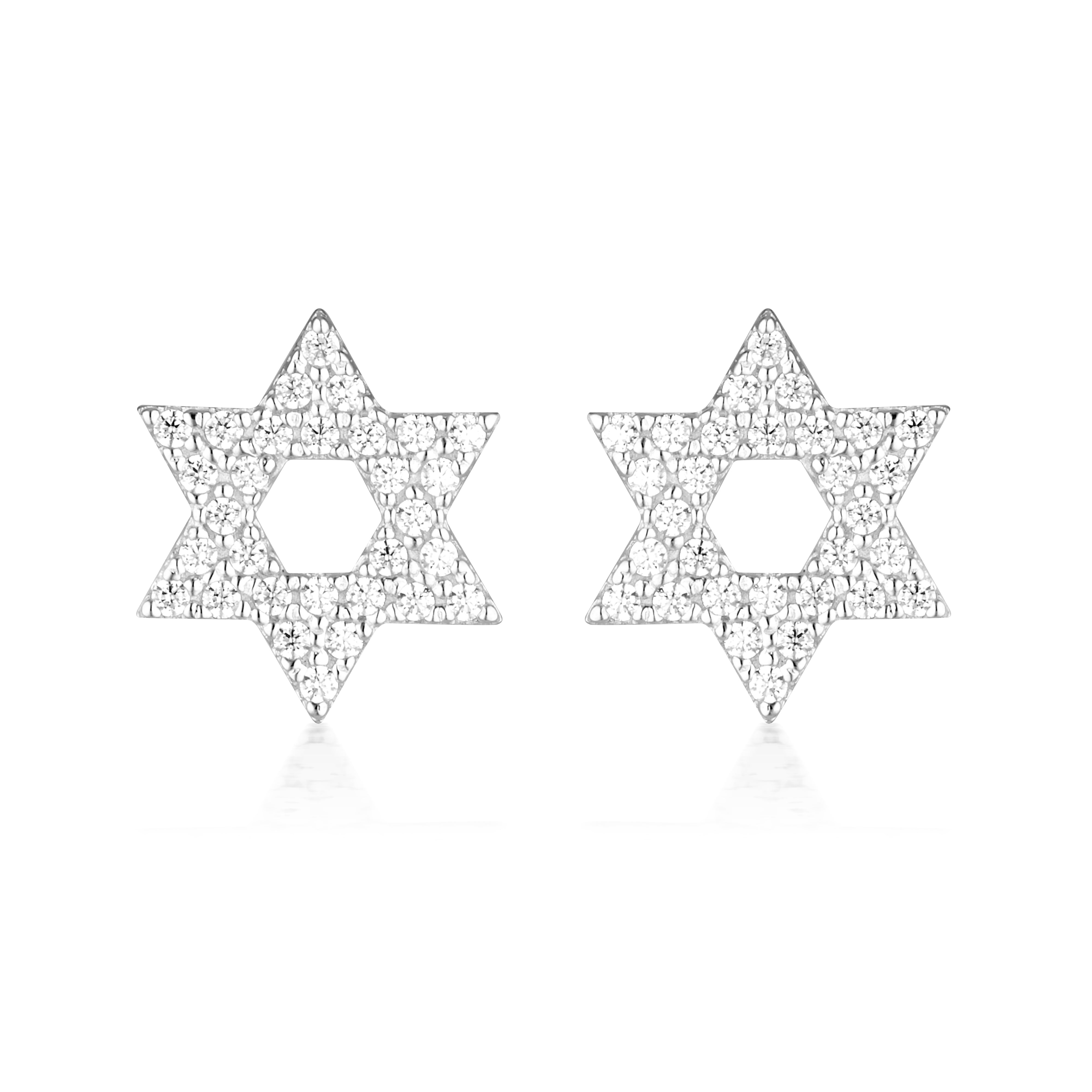 Rock Star Star Of David Silver Earrings