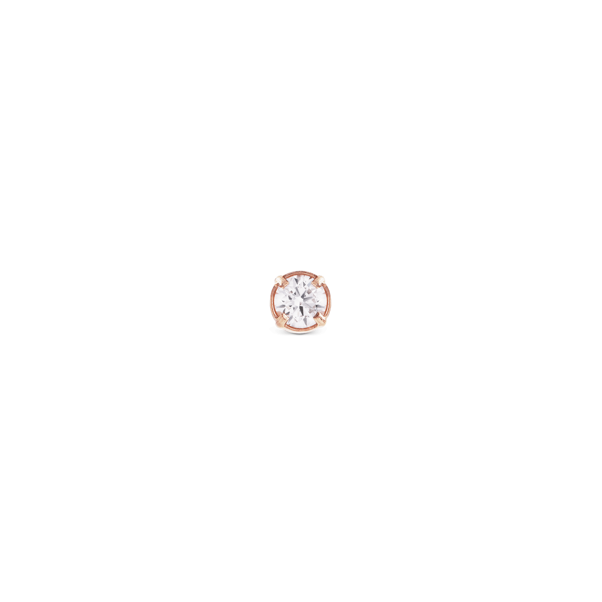 Daniel Wellington Crystal Stud Rose Gold